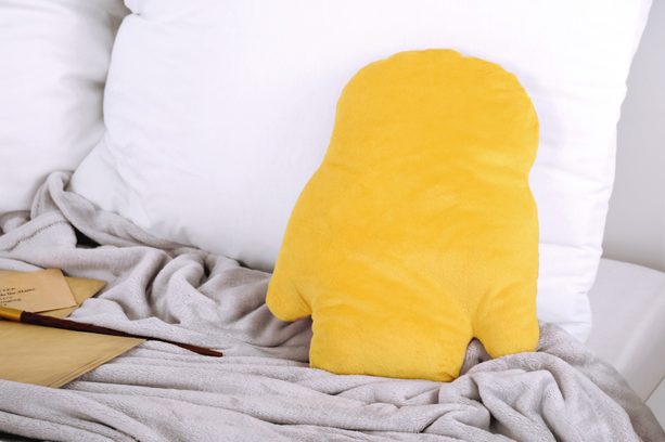 Vankúšik Harry Potter Sova