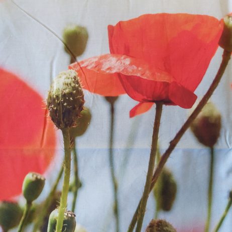 3D talianské obliečky 100% bavlna Papaveri