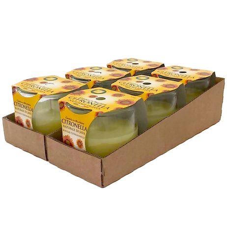Citronella vonná svíčka ve skle 6ks - hoření 25h