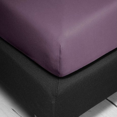 Bierbaum jersey plachta fialová