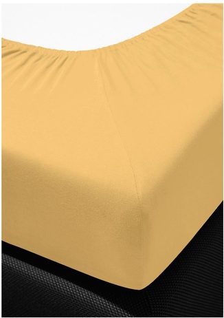 Bierbaum jersey plachta med