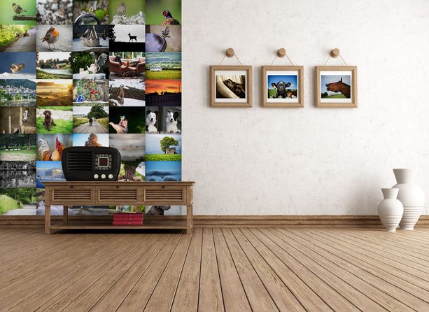 1Wall Kreatívna koláž na stenu 64 dielov 37,5 x 27,5cm Farma