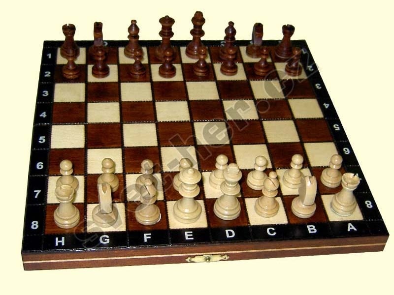 Šachy magnetické | SVĚT-HER.CZ | Společenské deskové hry - Hrajte si!