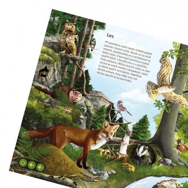 Kouzelné čtení: Svět zvířat (kniha) | SVĚT-HER.CZ | Společenské deskové hry  - Hrajte si!