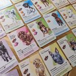 Dog Park (Psí park) - Dogs of the World