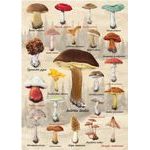 Puzzle Houby 1000d