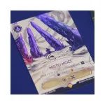 Dragon Eclipse - Akademie mystlingů