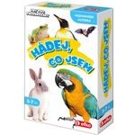 Hry pro předškoláky: Hádej, co jsem