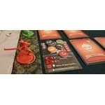 Slay the Spire: The Board Game (EN)