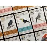 Wingspan - Americas Expansion