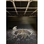 The Night Cage - Shrieking Hollow