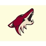 Náhradní tým Arizona Coyotes