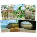 Smíšený les: Dartmoor - Exmoor