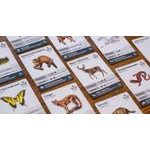 Reforest: Old Growth