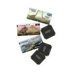 Vědomostní pexeso: Dinosauři