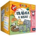 Kvído: Mláďata v kostce