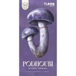 Podhoubí - Severní Amerika
