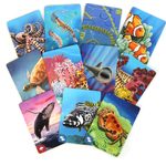 Ecosystem: Coral Reef