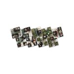 Zombicide: Green Horde