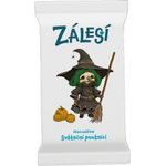 Zálesí - Sváteční poutníci