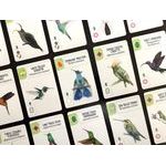 Wingspan - Americas Expansion