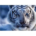 Puzzle Bílý tygr 1000d