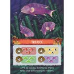 Pod hladinu: Velký bariérový útes