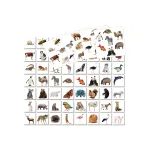 Hry pro předškoláky: Hádej, co jsem