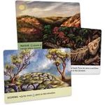 Reforest: Old Growth