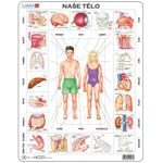 Puzzle vzdělávací: Naše tělo 35d