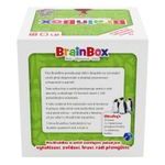 Brainbox: Světoběžníci