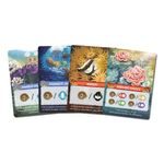 Pod hladinu: Velký bariérový útes