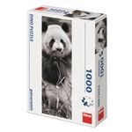 Puzzle Panda v trávě 1000d