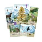 Smíšený les - Alpy