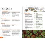 Old-School Essentials - Díra v dubu