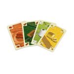 Catan: Energie (Osadníci z Katanu)