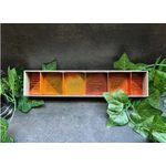 Krvavá hodina odbila - Šapitó