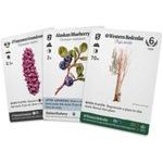 Reforest: Old Growth