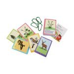 Kvído: Poznávačka přírody - Zvířata a rostliny