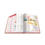 Kouzelné čtení: Čeština hravě (kniha)