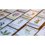 Reforest: Old Growth