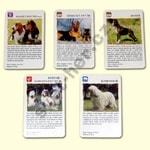 Psi - naučné karty