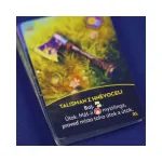 Dragon Eclipse - Zrádné vody