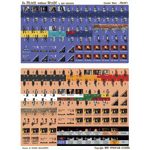 No Peace Without Spain! (2nd Edition)