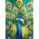 Puzzle DIXIT Point of View 1000d