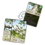 Smíšený les - Pomezí