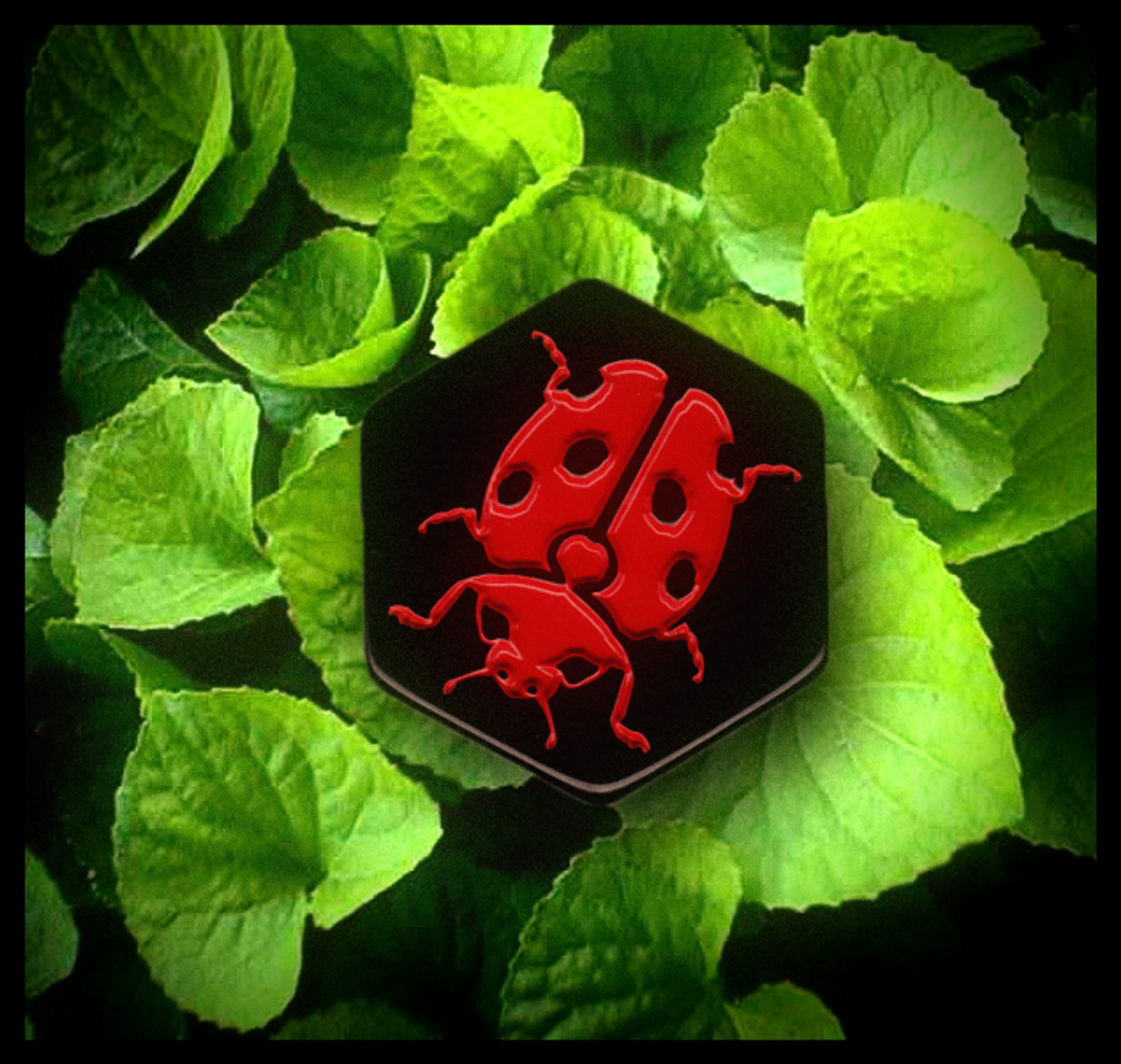 Hive - rozšíření The Ladybug | SVĚT-HER.CZ | Společenské deskové hry ...