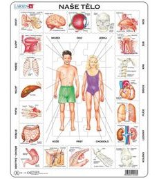 Puzzle vzdělávací: Naše tělo 35d