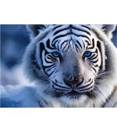 Puzzle Bílý tygr 1000d