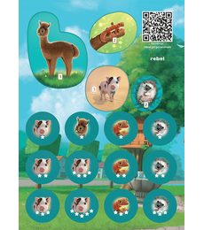 Dream Home - Pets